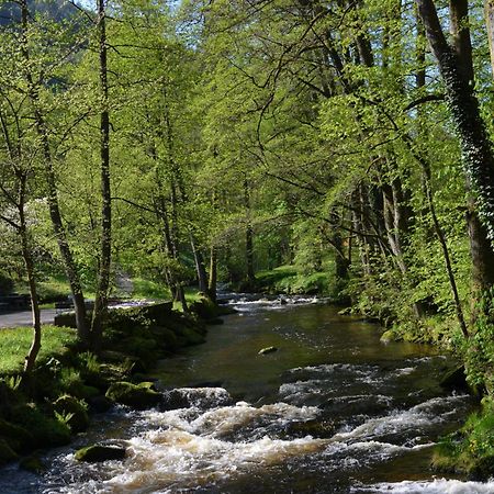 Wildbad Luft Lägenhet Bad Wildbad Exteriör bild